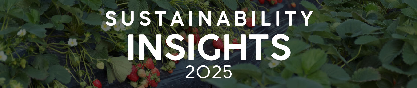 sustainabilitybanner
